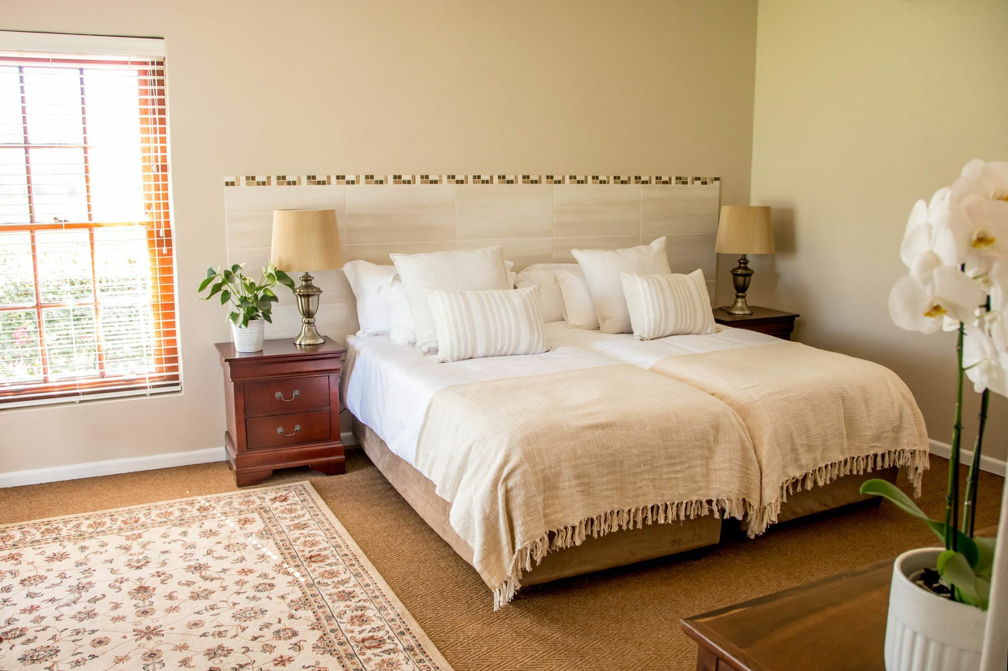 Goedemoed Farm Guest House بارل المظهر الخارجي الصورة